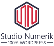 studio numerik